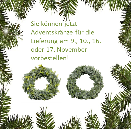 Adventskränze
